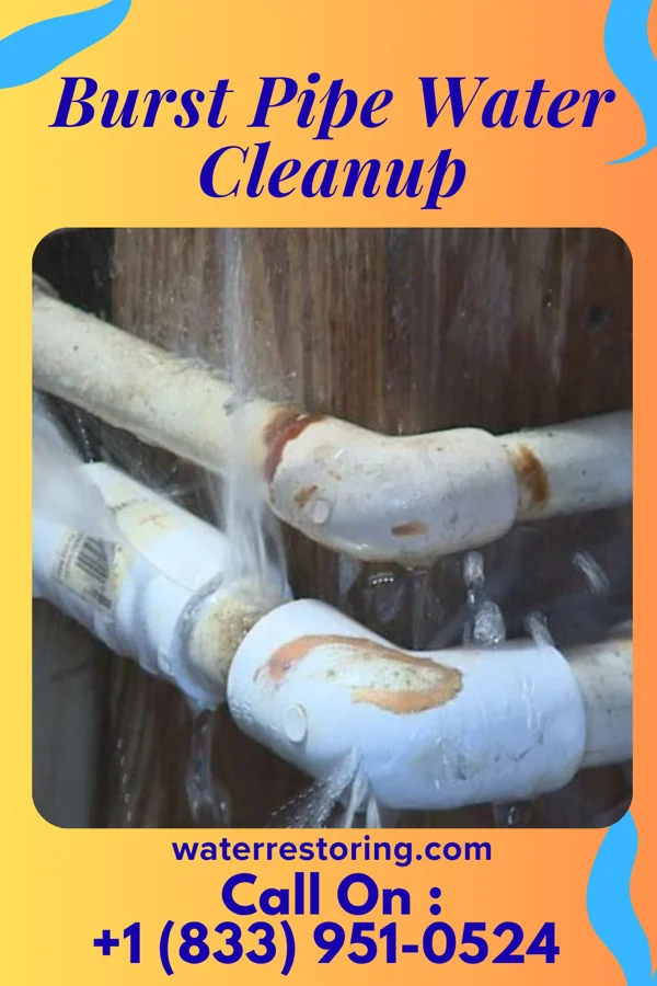 Burst Pipe Water Cleanup in Glen Gardner, NJ