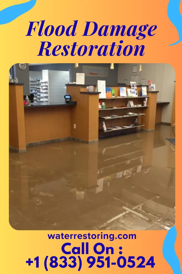 Flood Damage Restoration in Glen Gardner, NJ