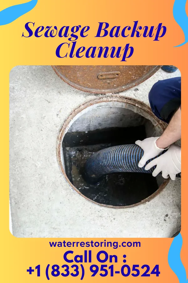 Sewage Backup Cleanup in Glen Gardner, NJ