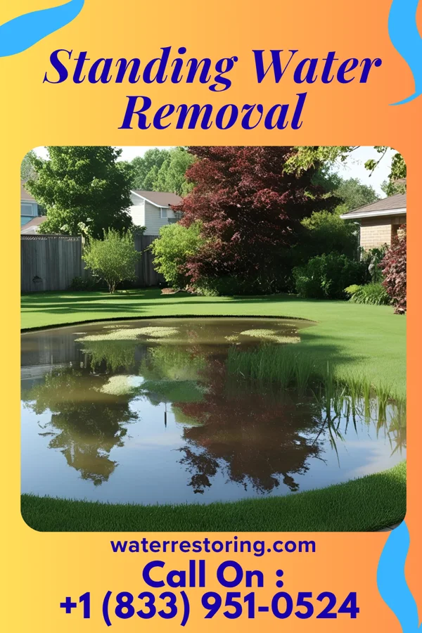 Standing Water Removal in Glen Gardner, NJ